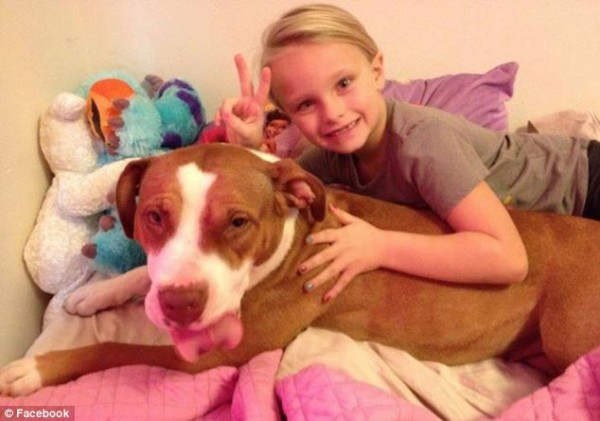 Missed: Cali the pit bull, pictured with her owner's daughter, was gunned down by a police officer last week