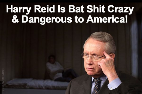 Dangerous & Bat Shit Crazy Liar Harry Reid Says Southern Border of United States is Secure