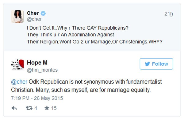 stupid-plastic-surgery-whore-cher-attacks-republicans-as-homophobes2