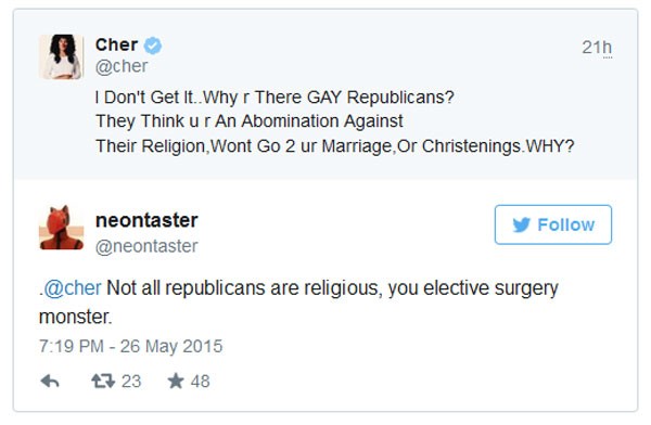 stupid-plastic-surgery-whore-cher-attacks-republicans-as-homophobes3