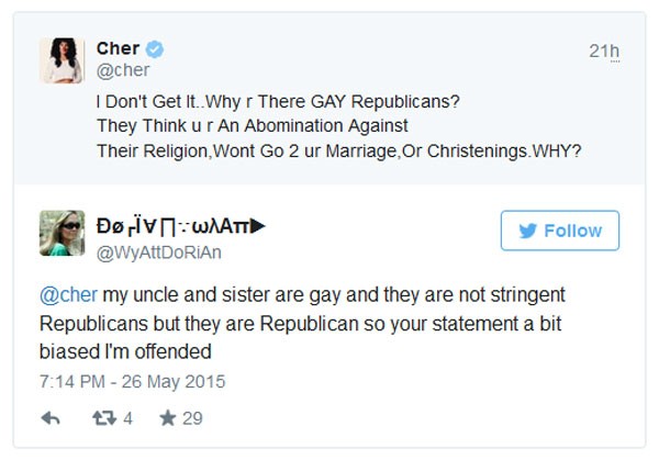 stupid-plastic-surgery-whore-cher-attacks-republicans-as-homophobes4