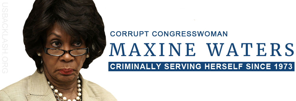 Image result for maxine waters ethics cartoons