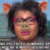 Disgusting Pig-Faced American Urban Radio White House Reporter April Ryan Dumber Than Wet Bag of Hair