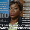 MSNBC’s Hypocrite Joy Reid’s Gay-Bashing Blog Posts Revealed Before Being Scrubbed From the Internet Way Back Machine