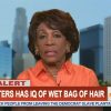 Pea-Brained Bitch Maxine Waters Talks Down to Kanye, Says He’s “Talking Out of Turn” and Should “Not Have So Much to Say”