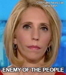 Fake-News-Enemy-Of-People-CNN-Dana-Bash