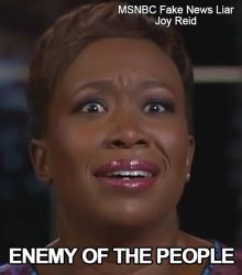 Fake-News-Enemy-Of-People-MSNBC-Joy-Reid