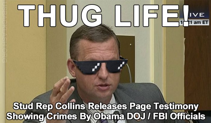 Stud RNC Rep Doug Collins Releases Lisa Page Testimony Showing DNC / FBI / DOJ Crimes - Proves Not All Republicans Are Pussies